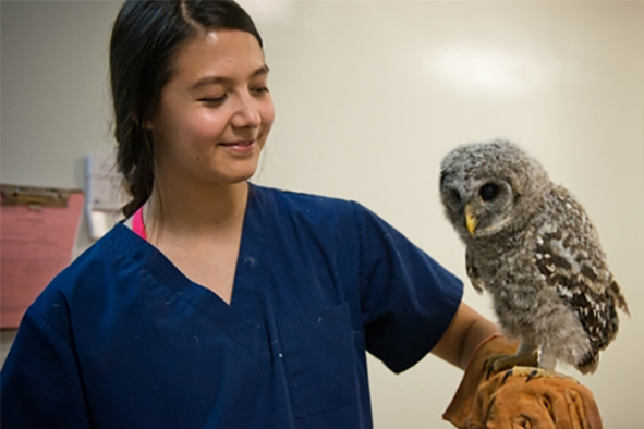 Student Holding Owl
