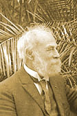 A portrait of an elderly, bearded, white man, Theodore Mead, wearing a suit looking to the right in front of tropical foliage
