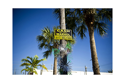 Miami Palm Trees (from the series Cash for Your Warhol)