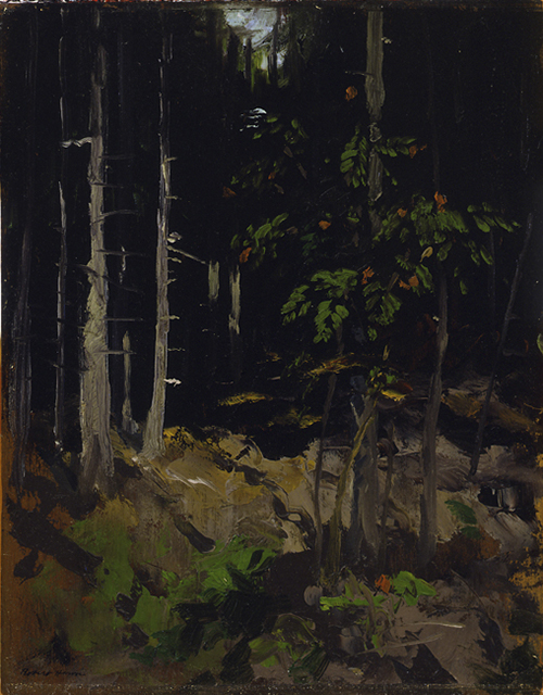 Mountain Ash, Dark Woods