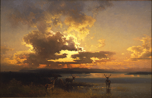 Sunset with Elk