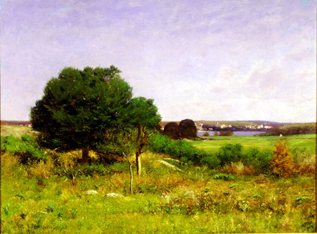 View From a Meadow